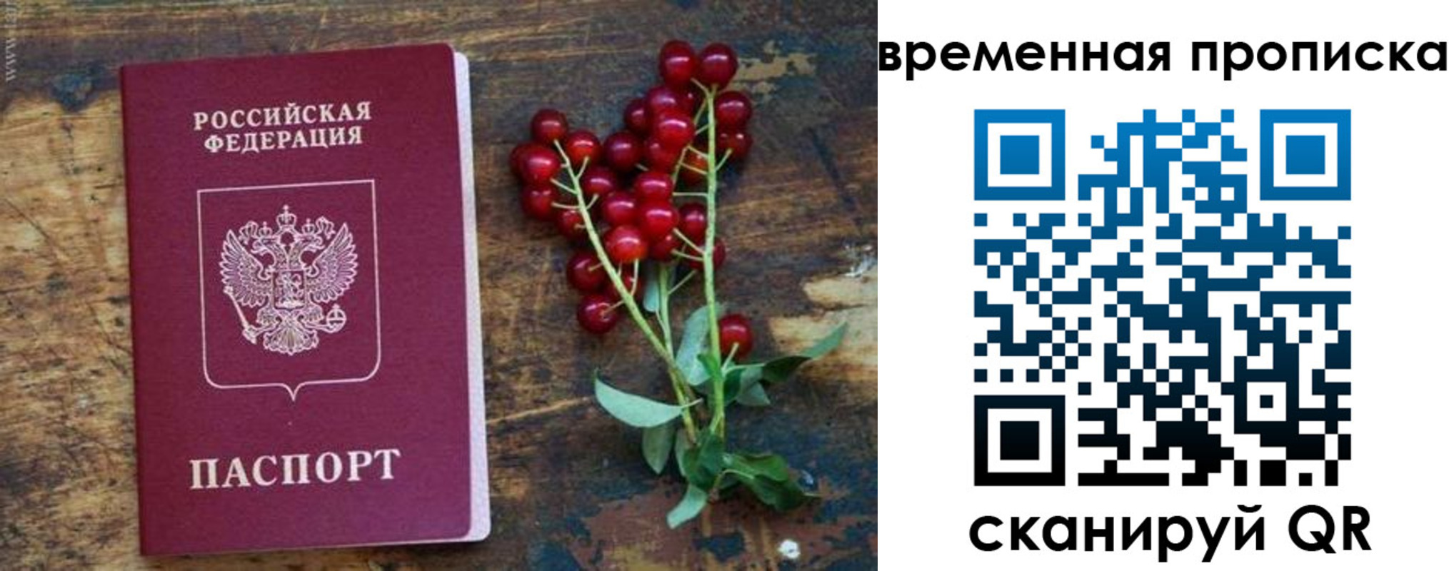временная регистрация гарантия в Новошахтинске